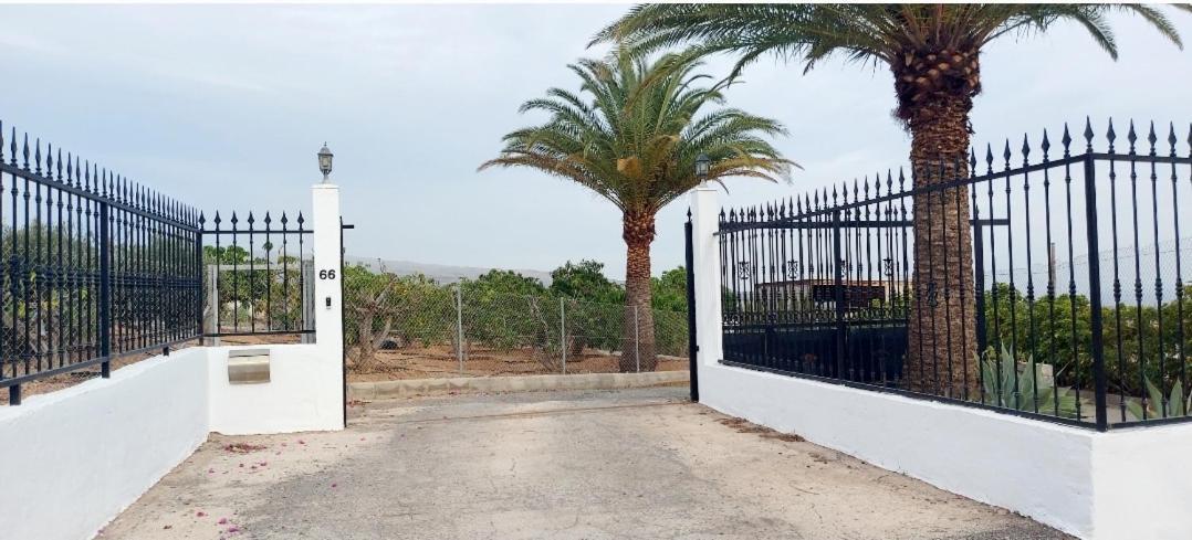 The Black Horse Canarias - Adults Only Maspalomas  Værelse billede